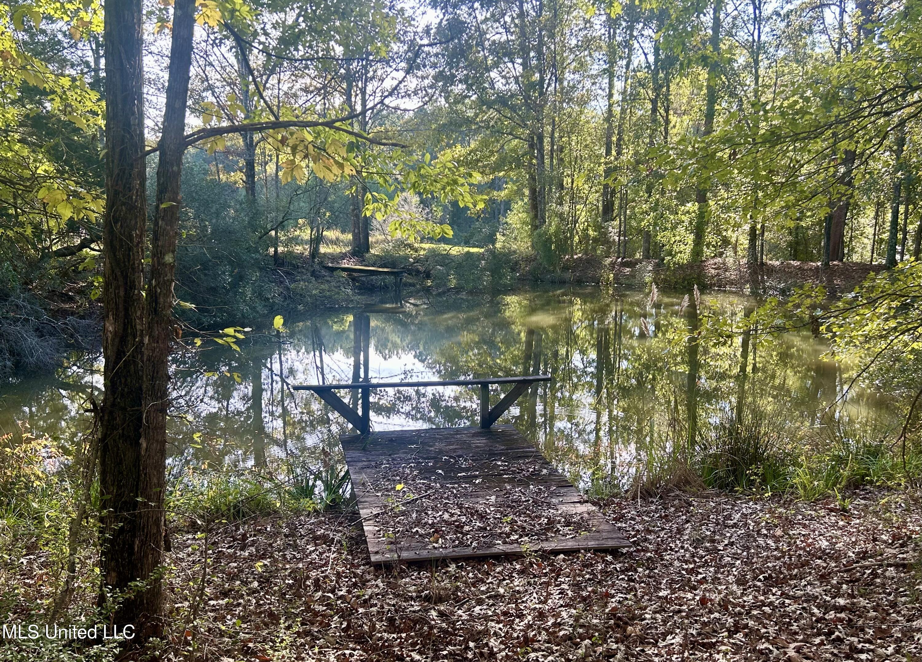 1845 Dry Fork Creek Road, Crosby, Mississippi image 8