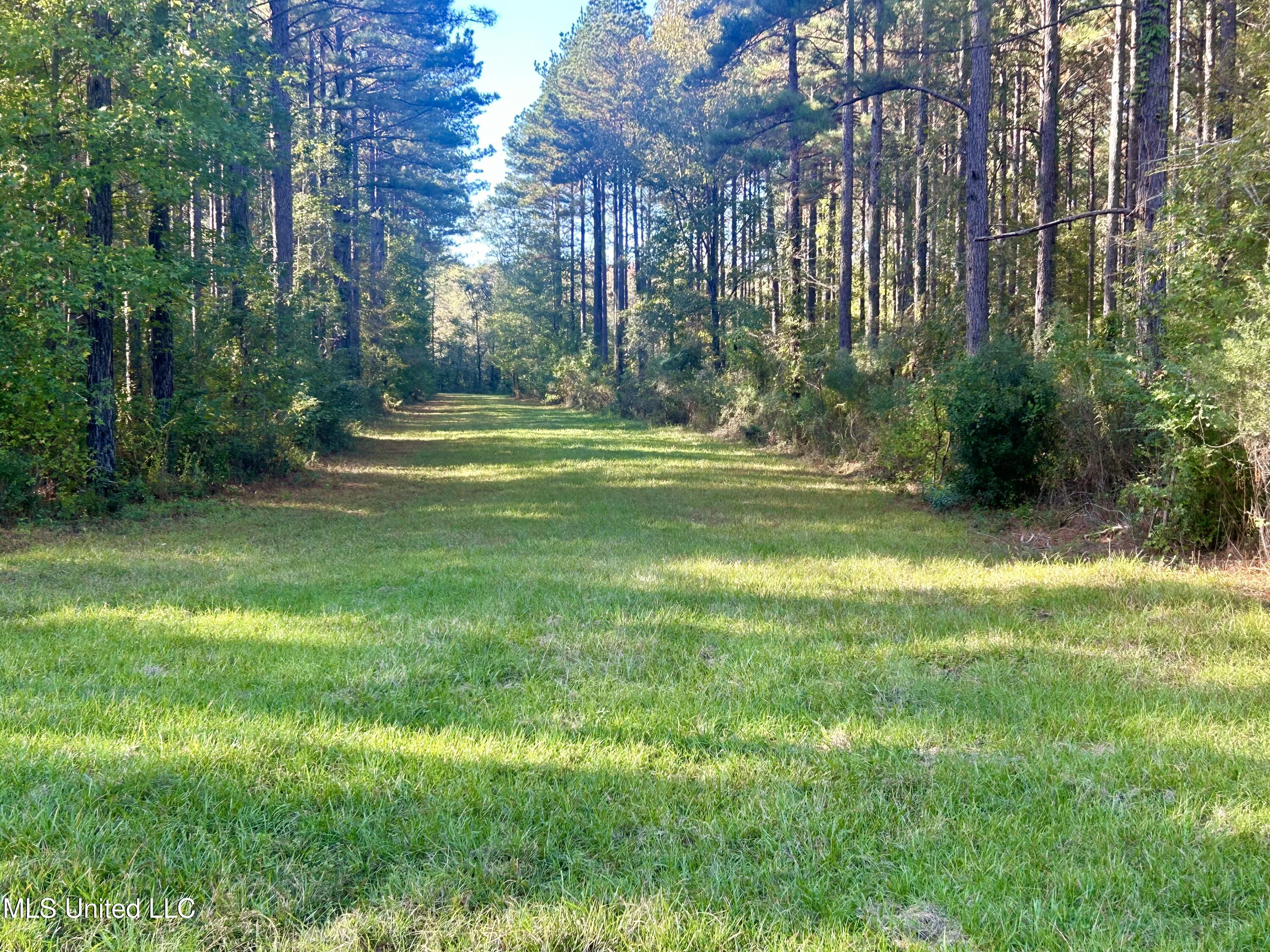 1845 Dry Fork Creek Road, Crosby, Mississippi image 49