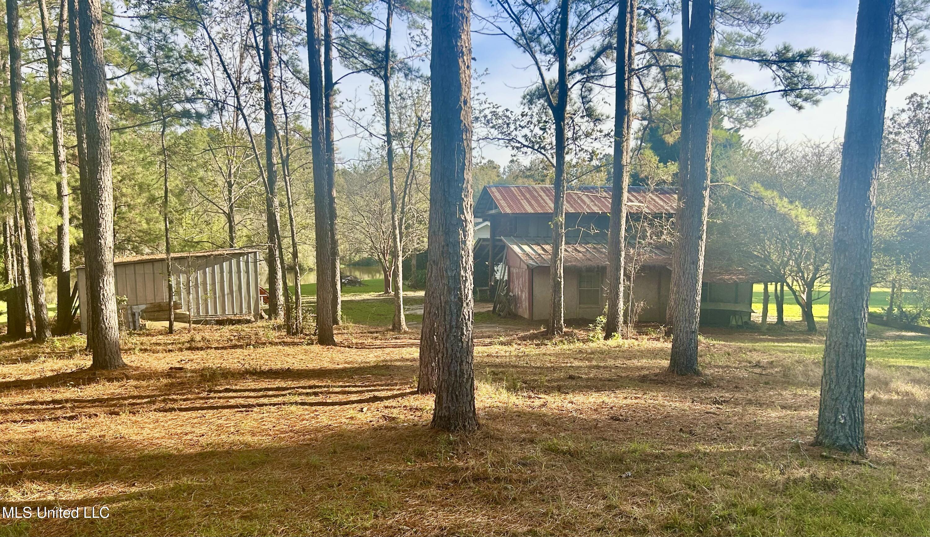 1845 Dry Fork Creek Road, Crosby, Mississippi image 20