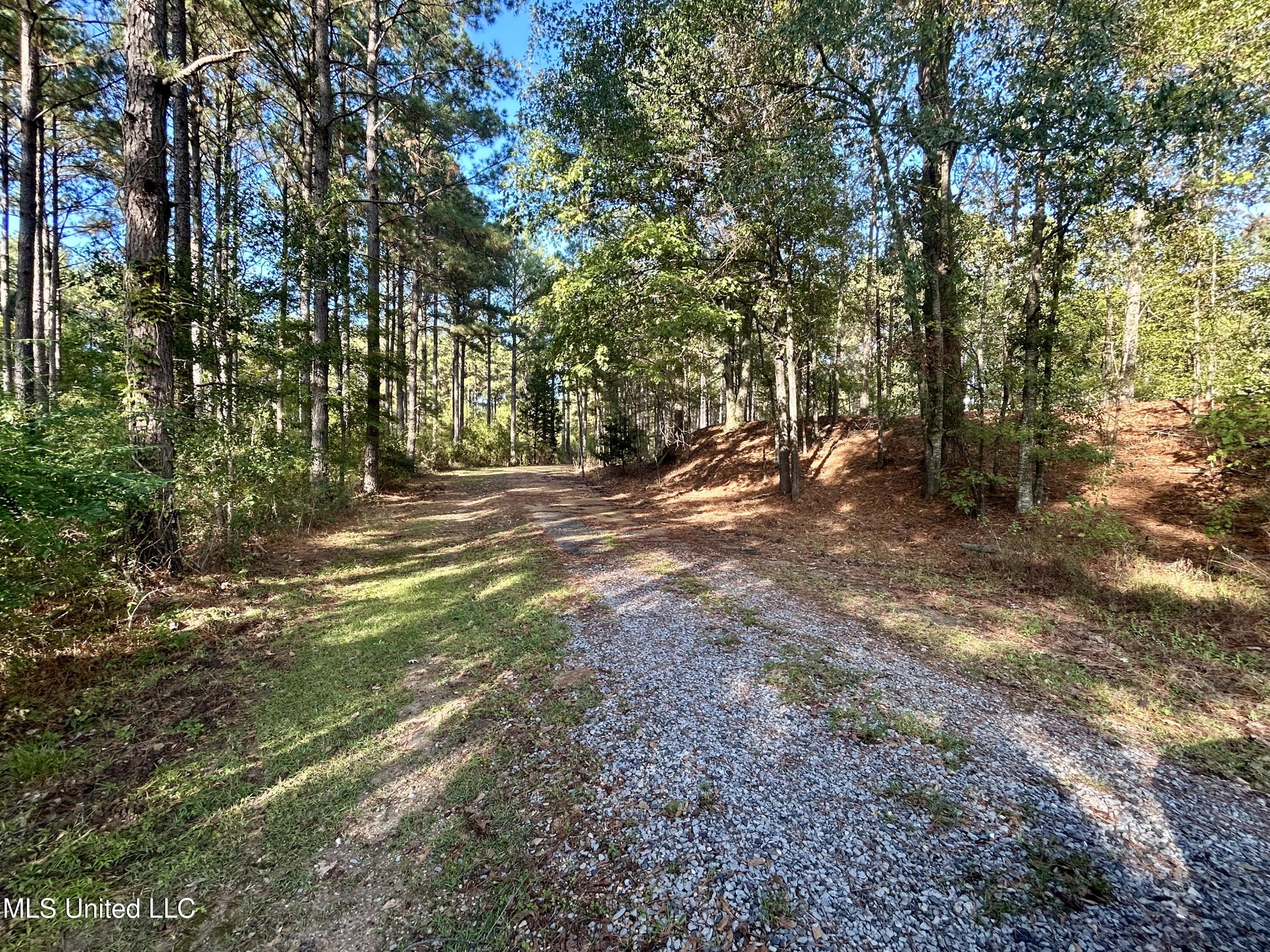 1845 Dry Fork Creek Road, Crosby, Mississippi image 4