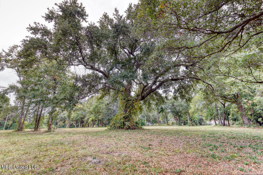 311 16th Street, Gulfport, Mississippi image 10