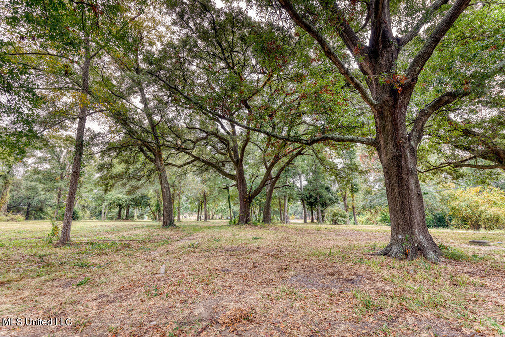 311 16th Street, Gulfport, Mississippi image 9