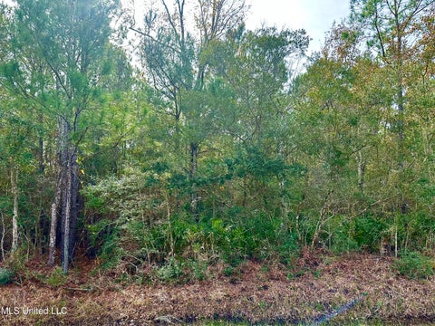 Vacant Land For Sale - 00 Beach Street<br/> Ocean Springs, MS 39564
