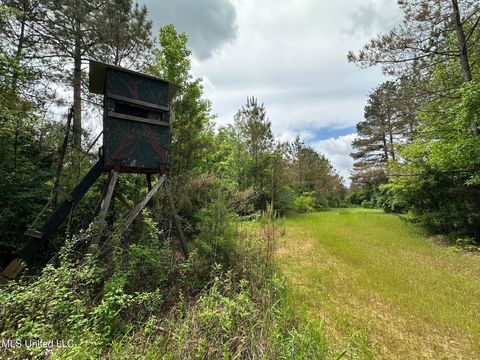 Vacant Land For Sale - Highway 440<br/> West, MS 39192