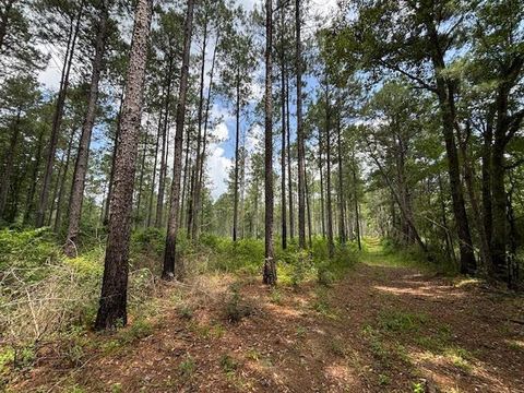 Vacant Land For Sale - 182 Hwy 44<br/> Jayess, MS 39641