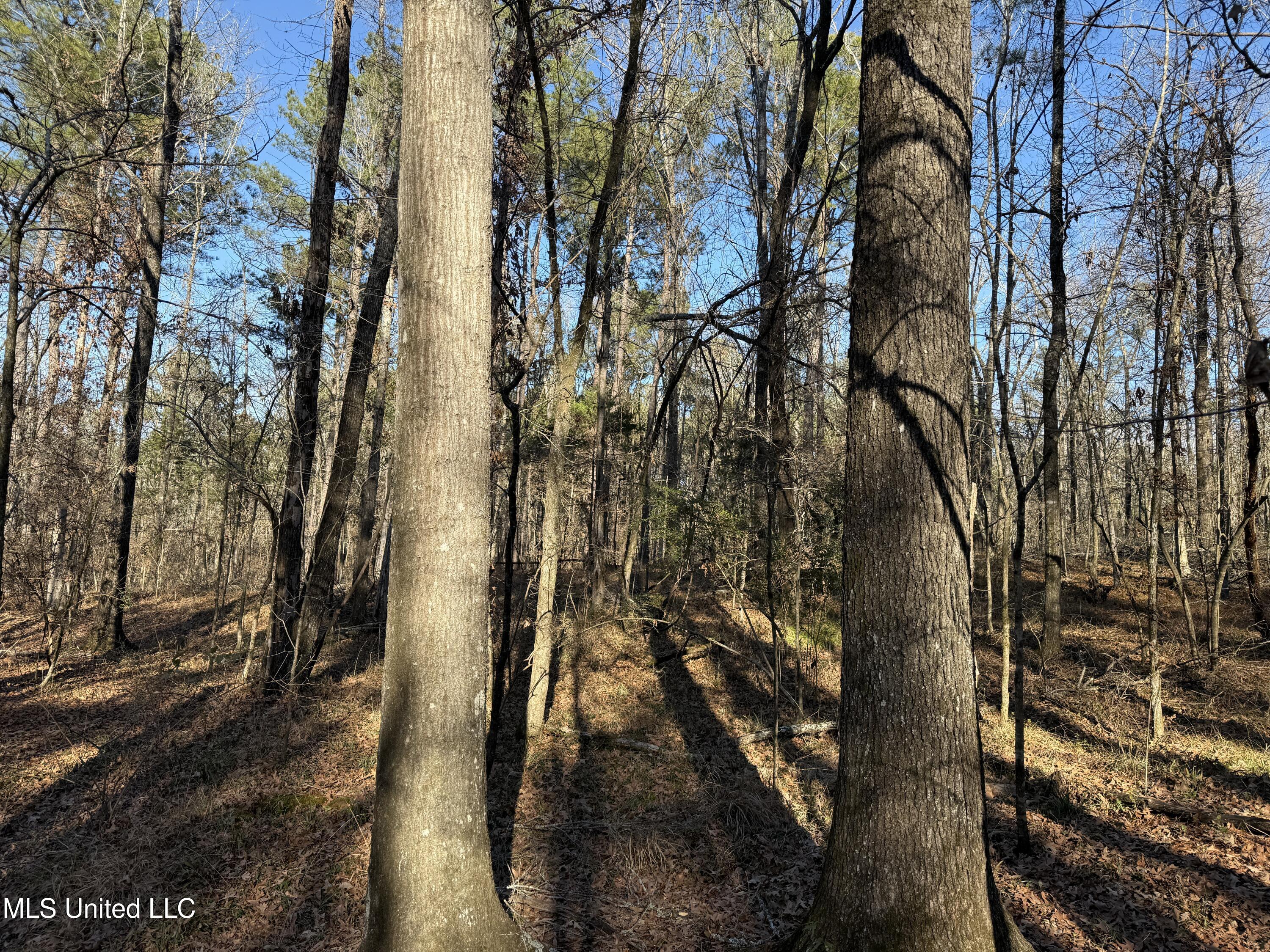 S Mcraven Road, Jackson, Mississippi image 11