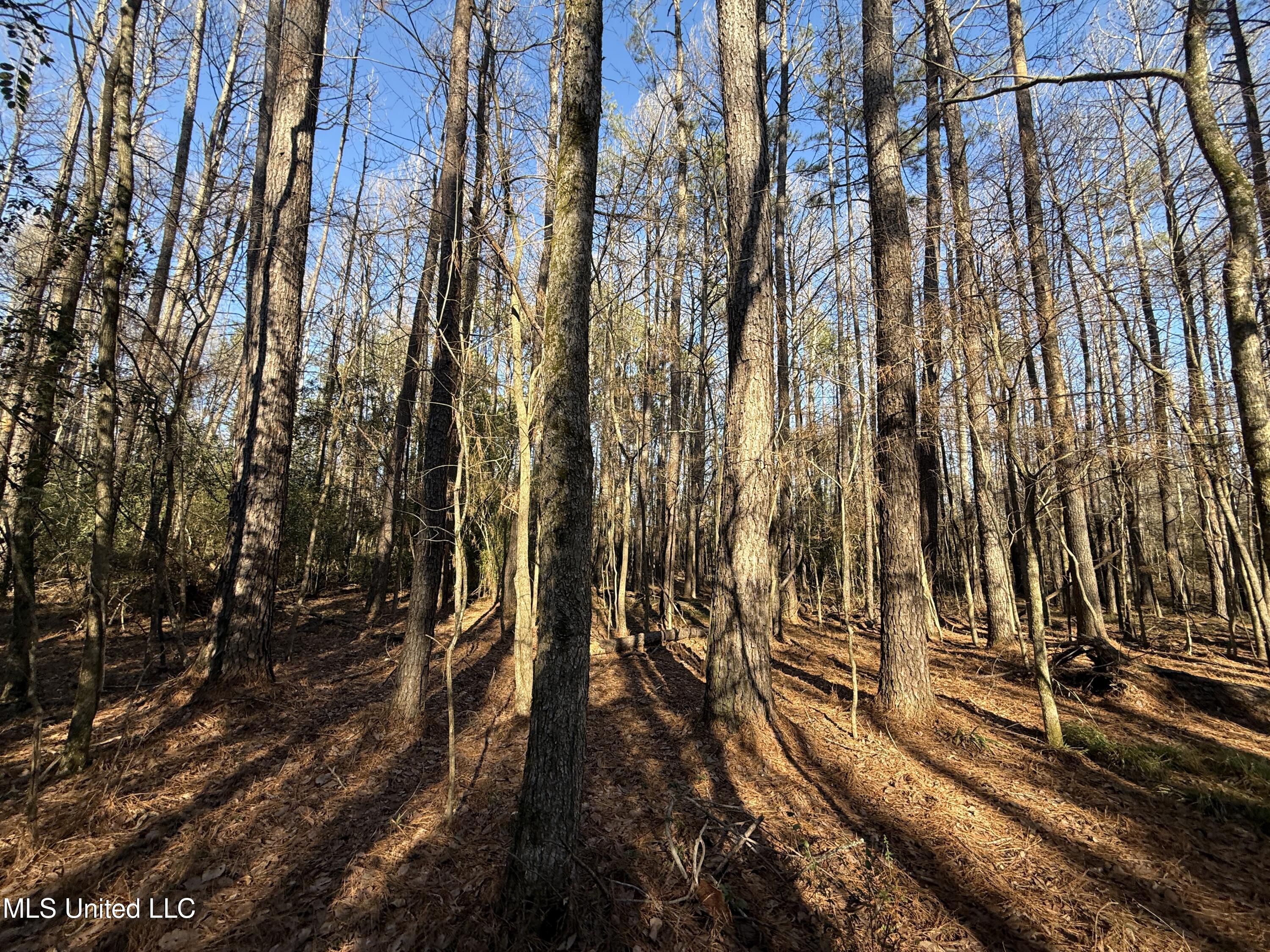 S Mcraven Road, Jackson, Mississippi image 17