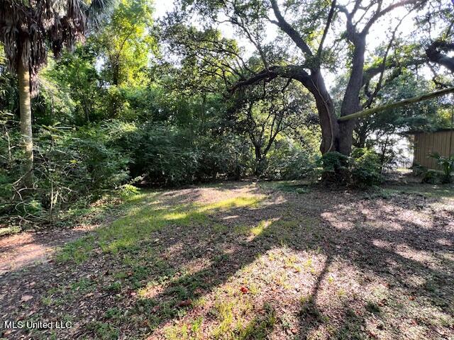 2603 Catalpa Avenue, Pascagoula, Mississippi image 10