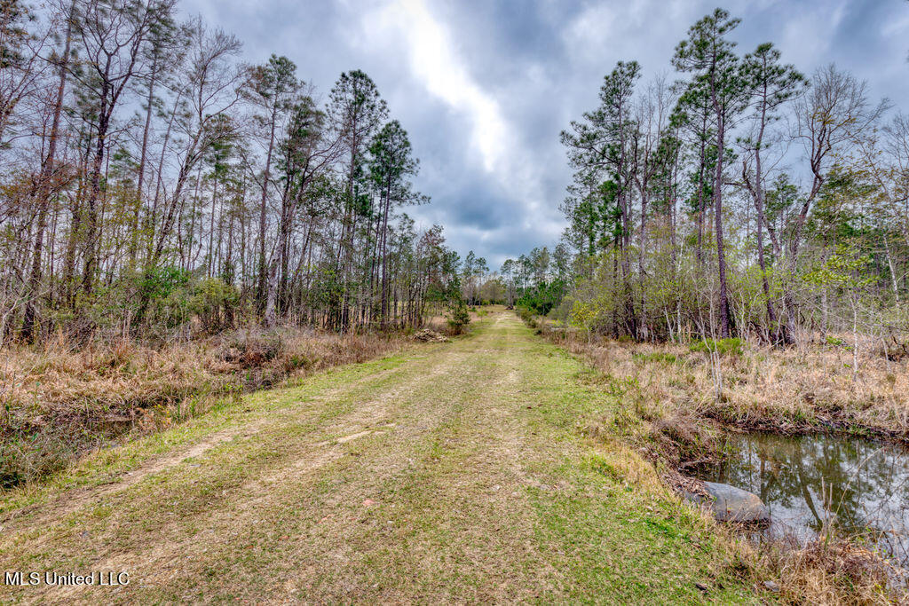 15429 Indian Fork Road, Vancleave, Mississippi image 46