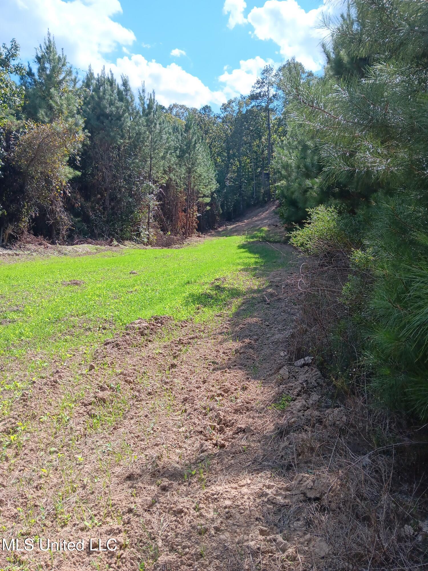 00 NW Shillings Road, Roxie, Mississippi image 1