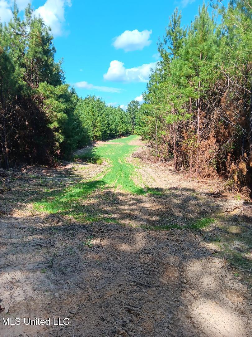 00 NW Shillings Road, Roxie, Mississippi image 4