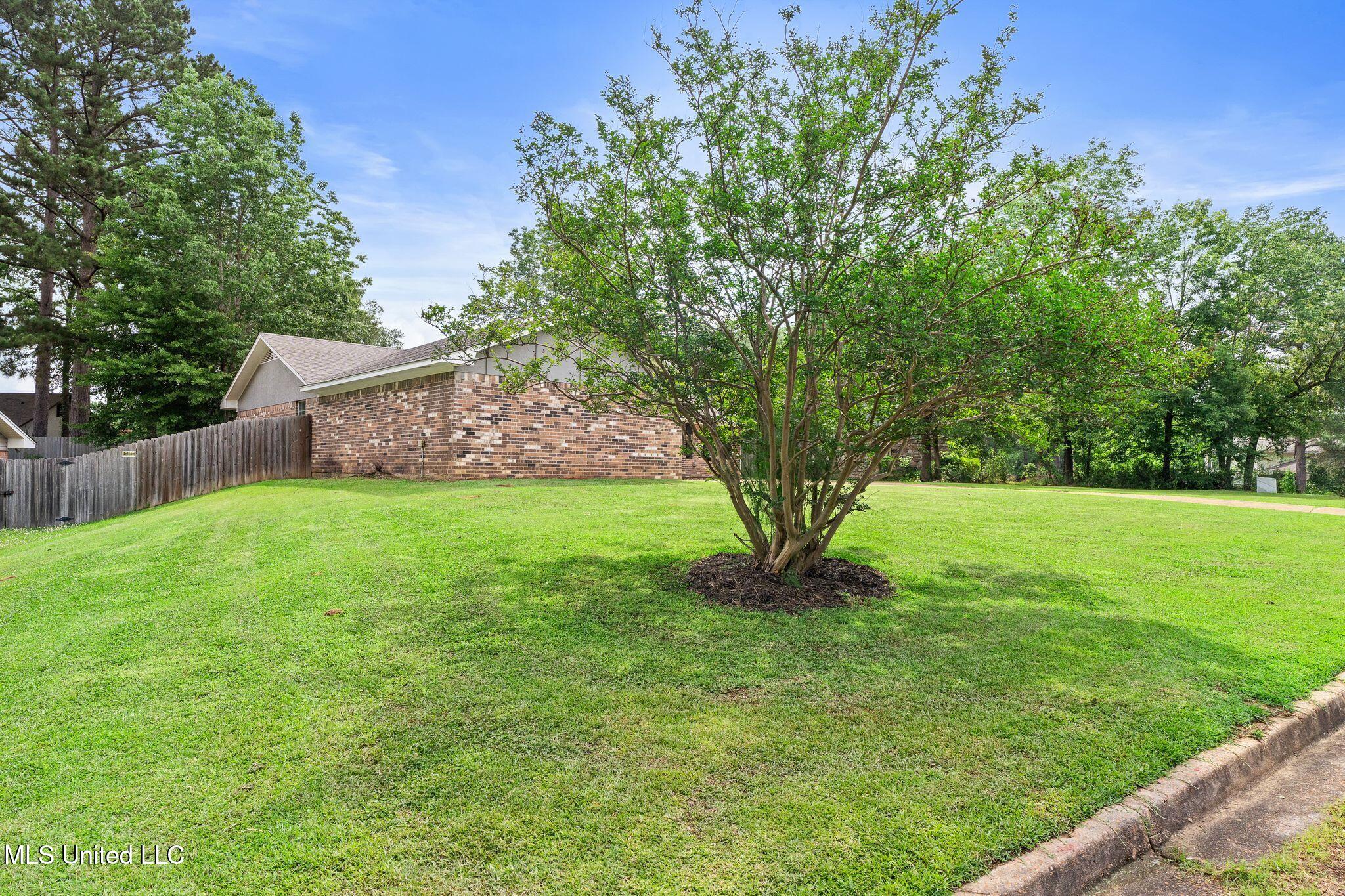 212 Pebble Brook Drive, Clinton, Mississippi image 3