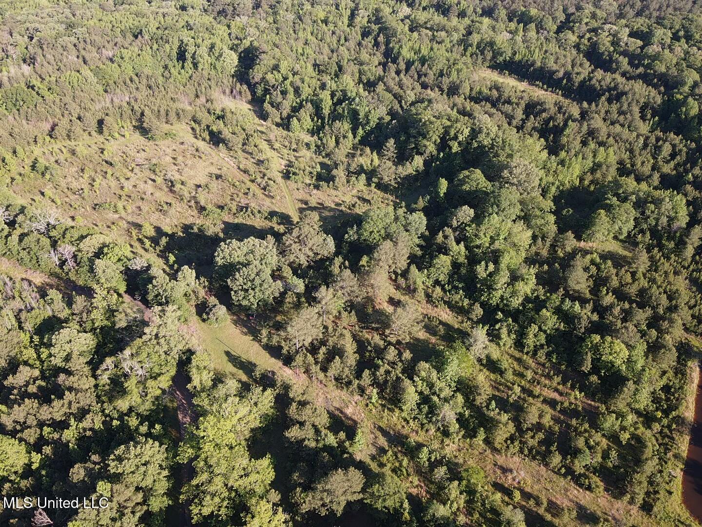Holly Grove Lane, Hermanville, Mississippi image 27