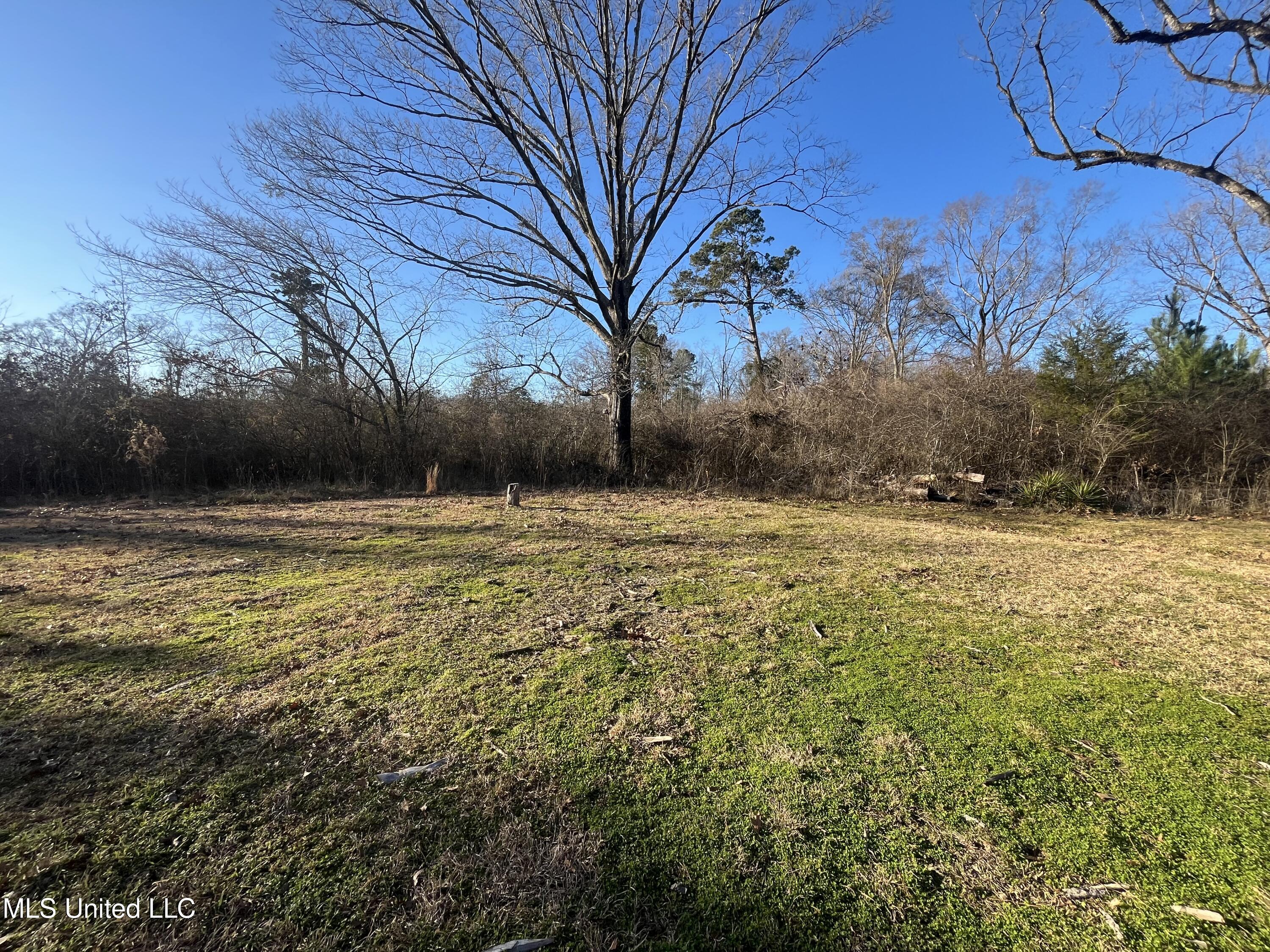 Holly Grove Lane, Hermanville, Mississippi image 11