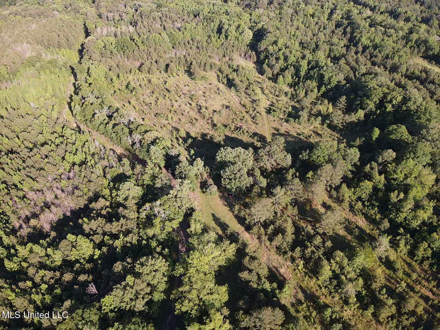 Holly Grove Lane, Hermanville, Mississippi image 24
