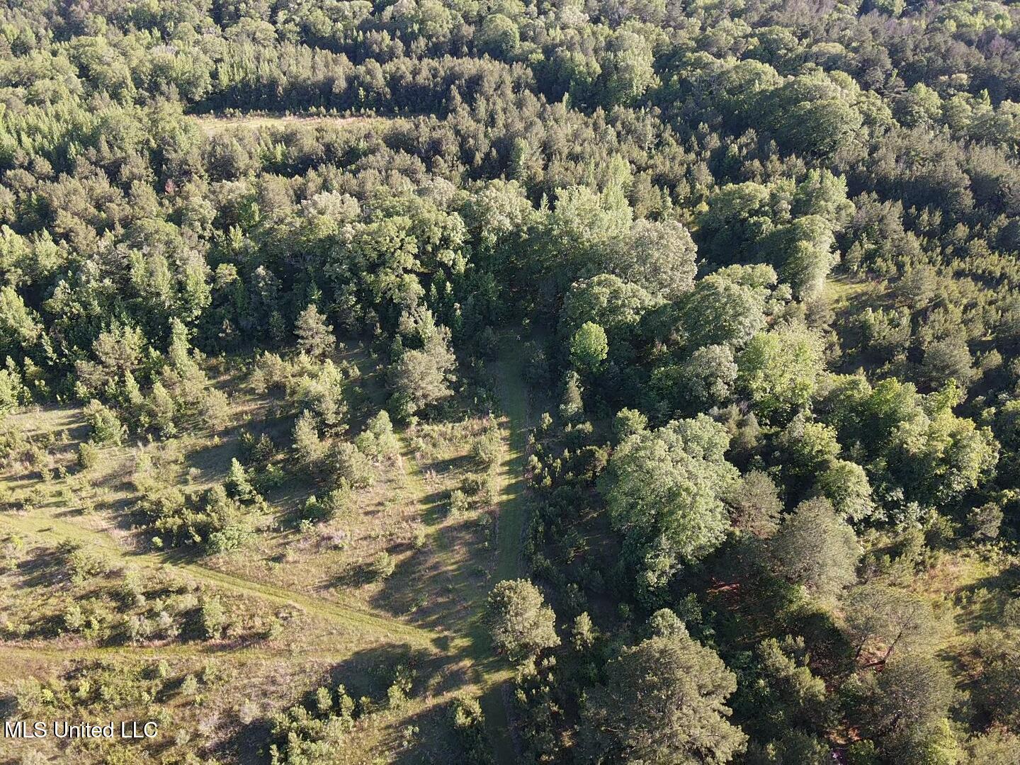 Holly Grove Lane, Hermanville, Mississippi image 22