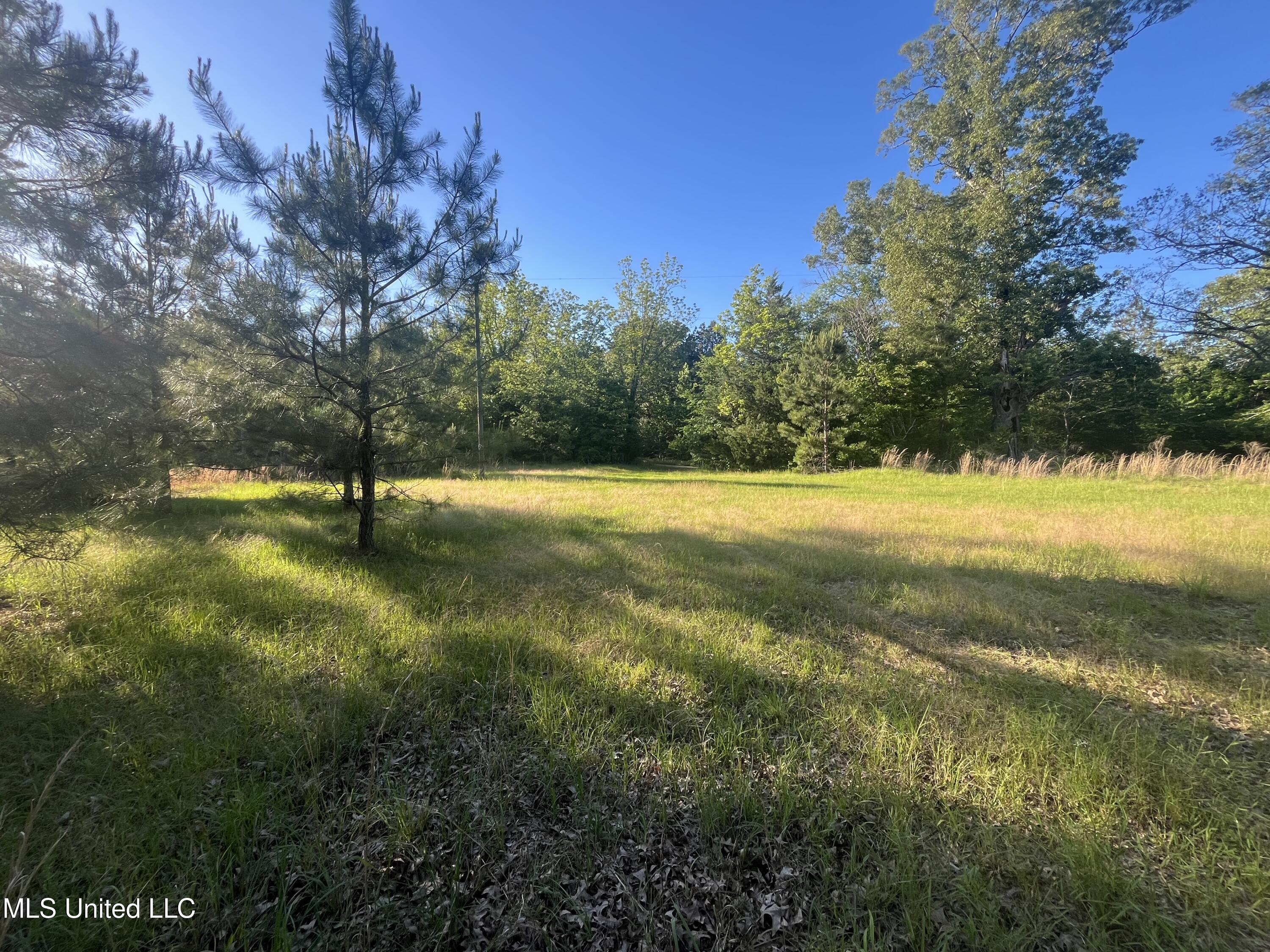 Holly Grove Lane, Hermanville, Mississippi image 13
