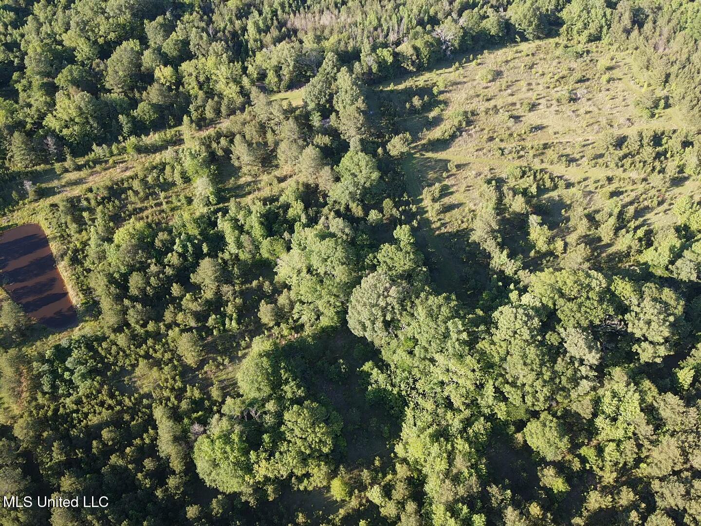Holly Grove Lane, Hermanville, Mississippi image 30