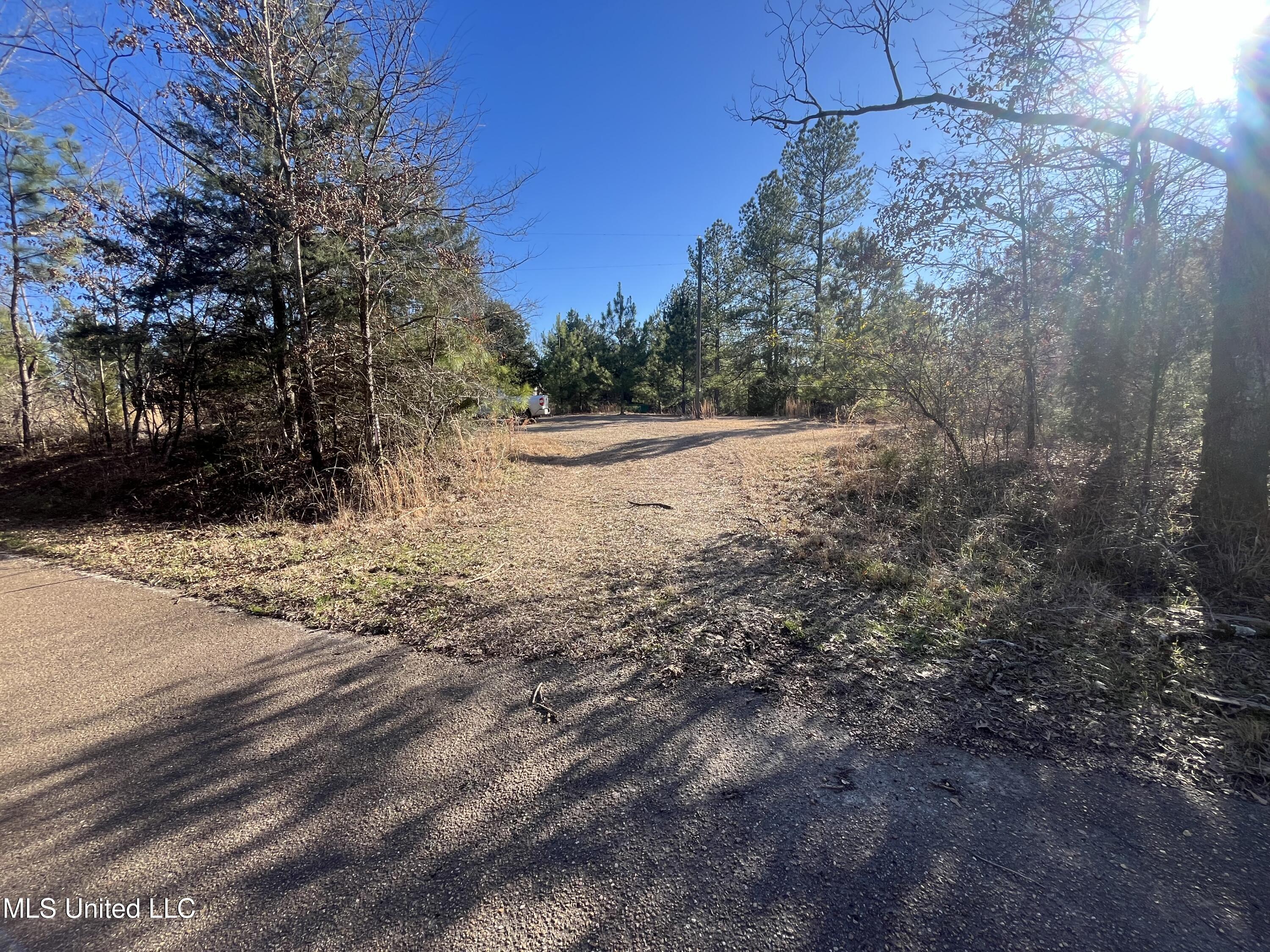 Holly Grove Lane, Hermanville, Mississippi image 8