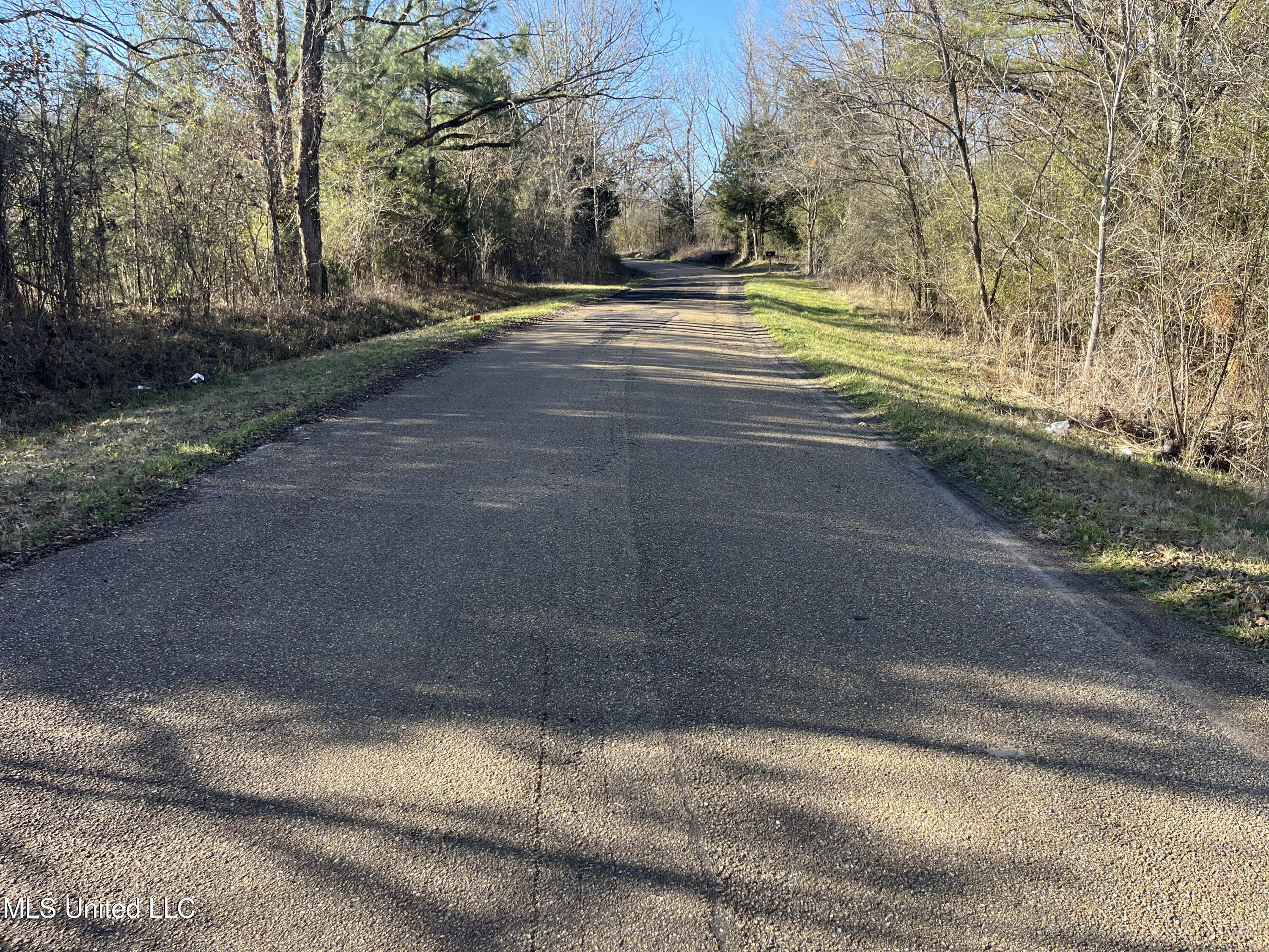 Holly Grove Lane, Hermanville, Mississippi image 7
