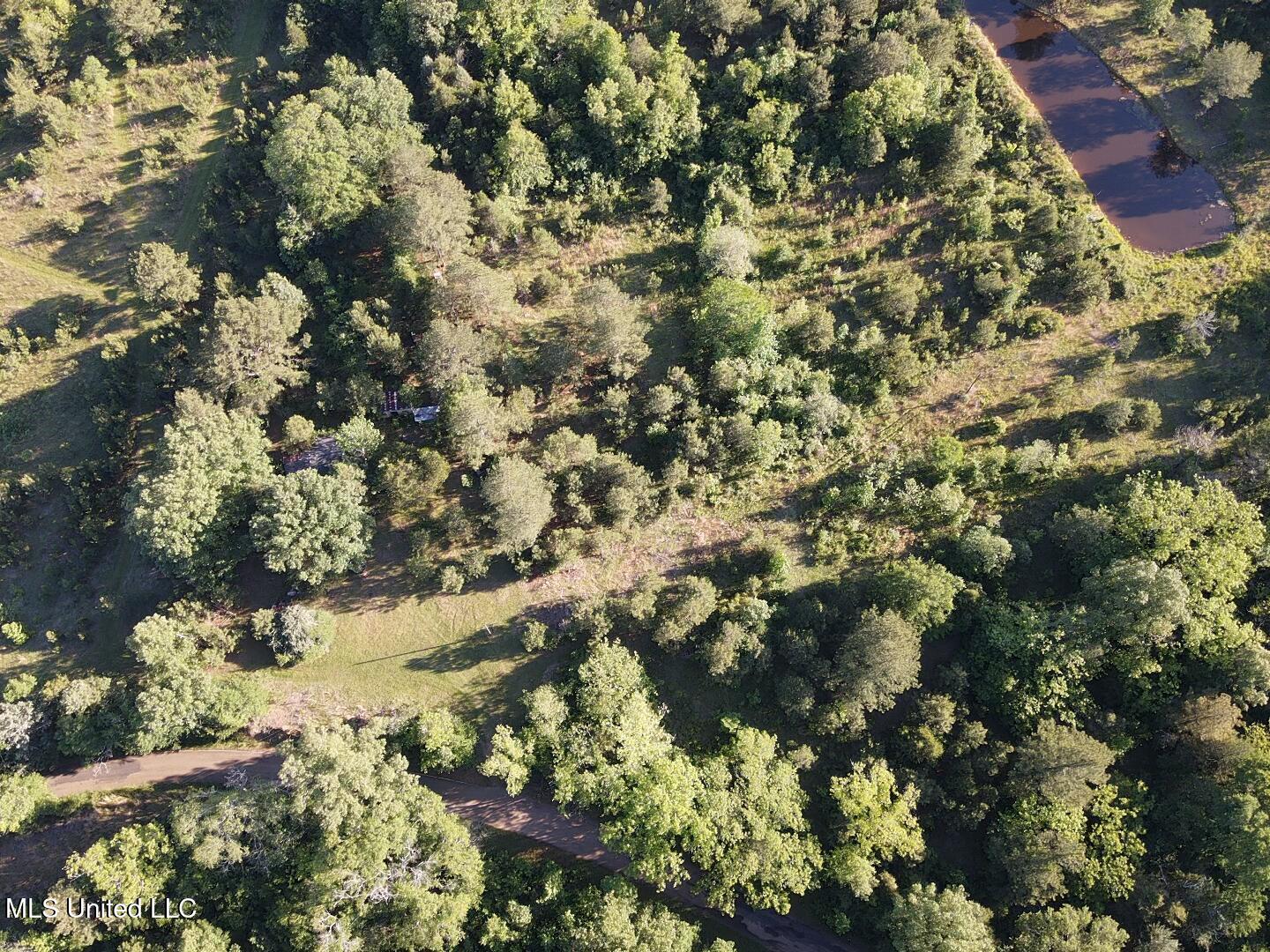 Holly Grove Lane, Hermanville, Mississippi image 15