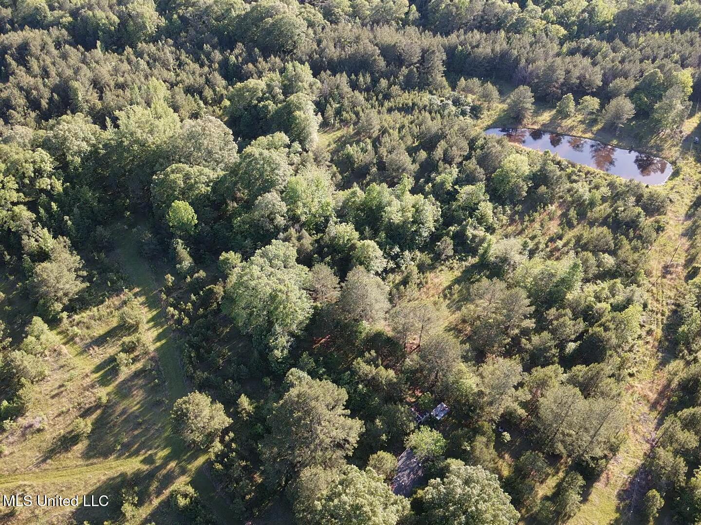 Holly Grove Lane, Hermanville, Mississippi image 21