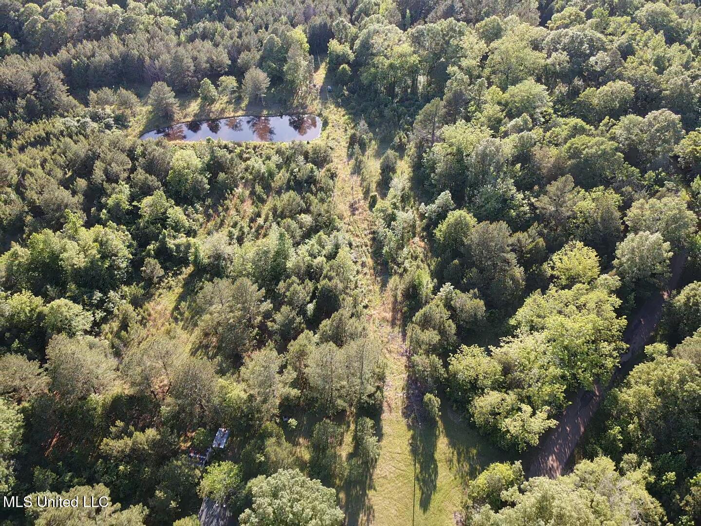 Holly Grove Lane, Hermanville, Mississippi image 20