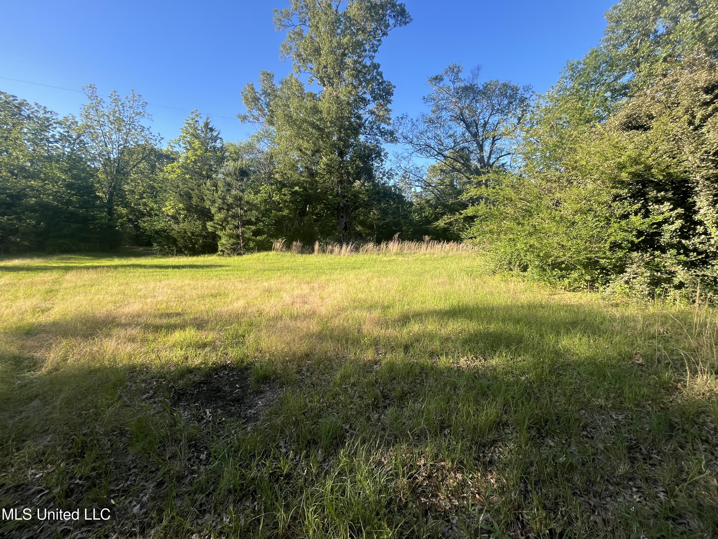 Holly Grove Lane, Hermanville, Mississippi image 14
