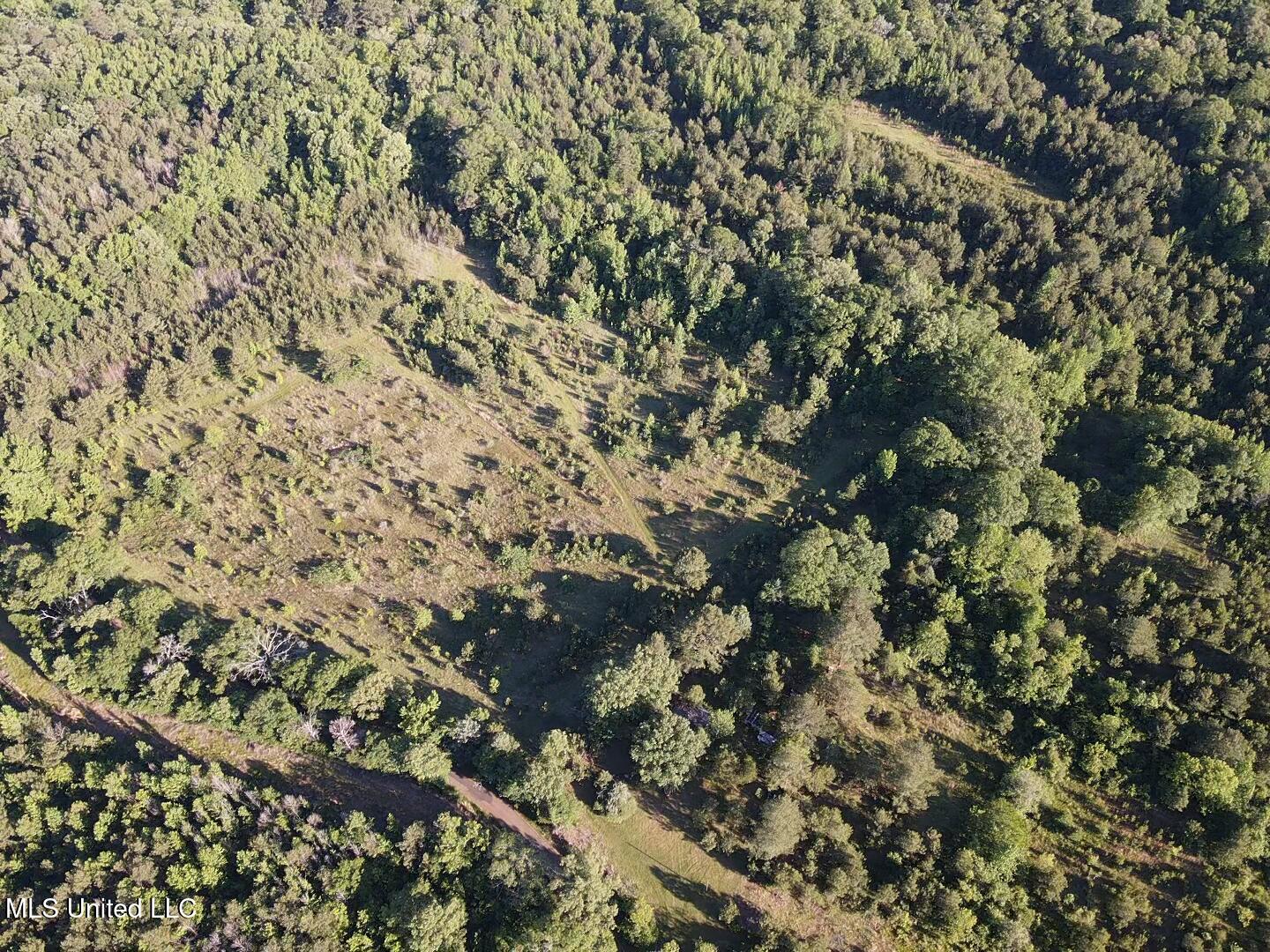 Holly Grove Lane, Hermanville, Mississippi image 28