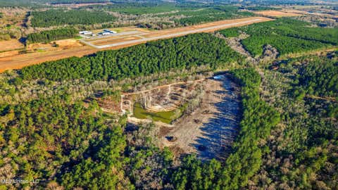 Vacant Land For Sale - 99 Firefox Lane<br/> Poplarville, MS 39470