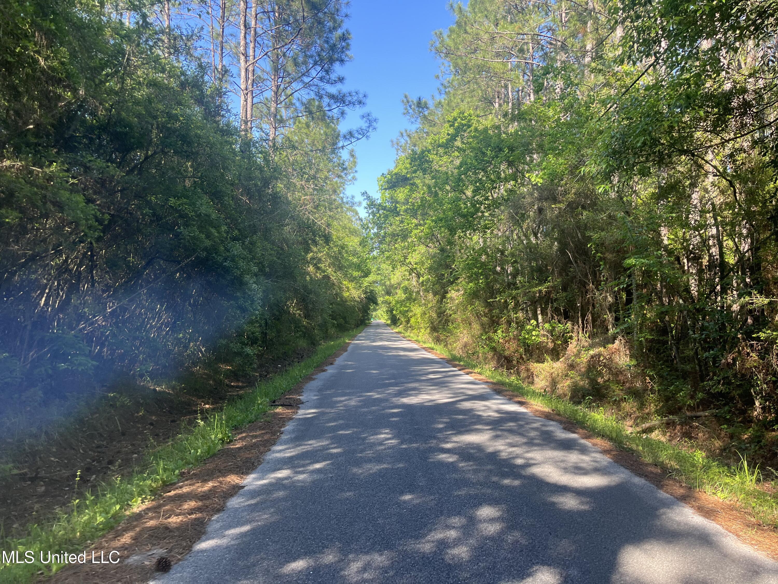 Martin Young Road, Moss Point, Mississippi image 5