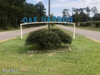 N Tampa Drive, Pearlington, Mississippi image 9