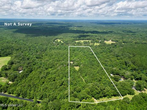 Vacant Land For Sale - TRACT 1 Gumpond Beall Road<br/> Lumberton, MS 39455
