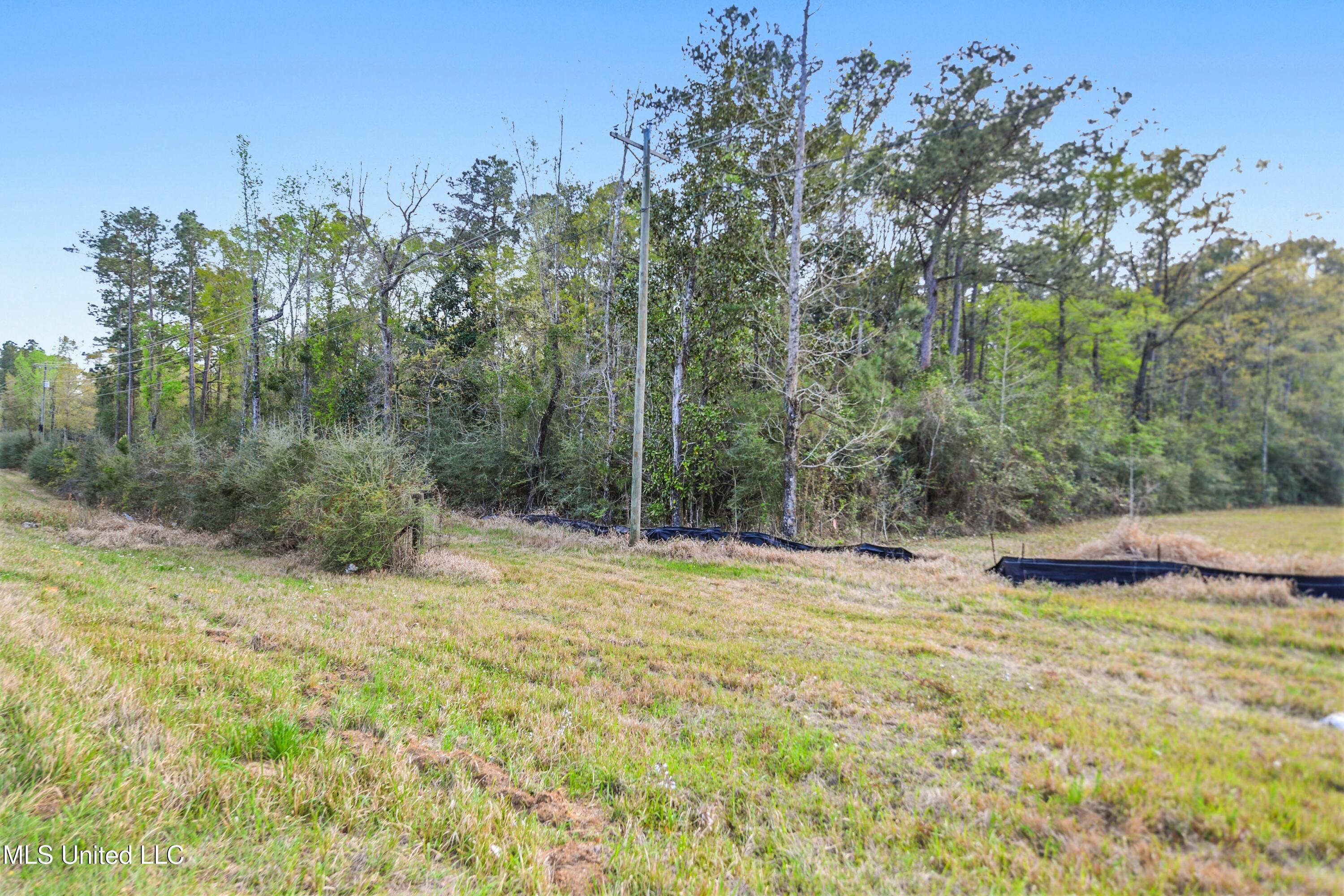 15801 Highway 57, Vancleave, Mississippi image 3
