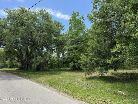Vacant Land For Sale - Pecan Ridge Drive<br/> Waveland, MS 39576