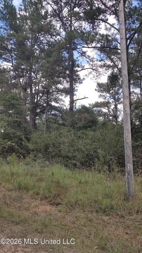 Vacant Land For Sale - NO Deer Creek Road<br/> Lumberton, MS 39455