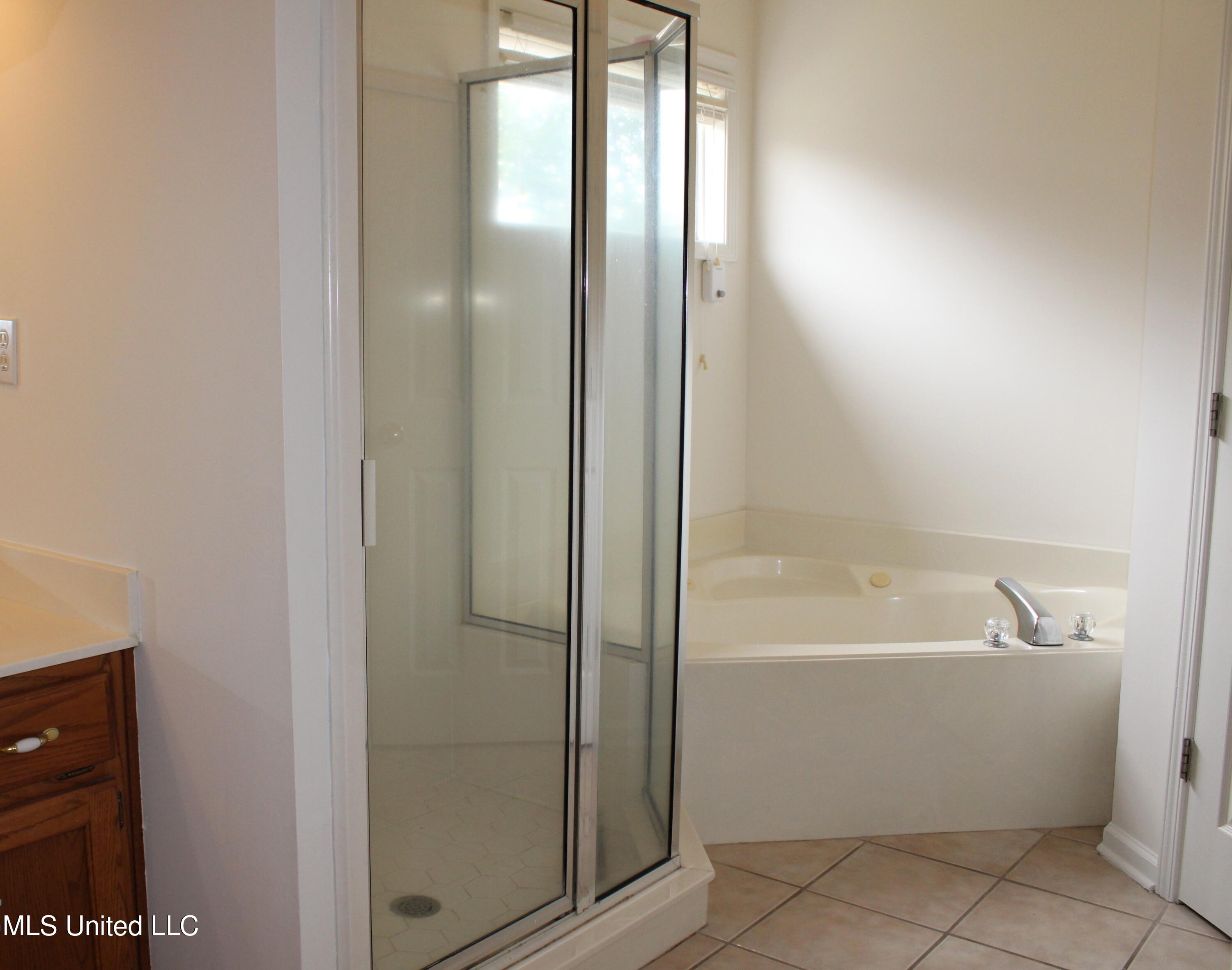 6904 Braybourne Main, Olive Branch, Mississippi image 16