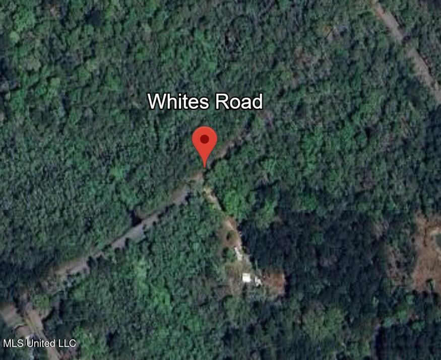 Whites Road Road, Pearlington, Mississippi image 1