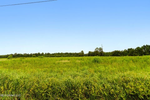 Vacant Land For Sale - 29 ACRES Highway 613<br/> Lucedale, MS 39452