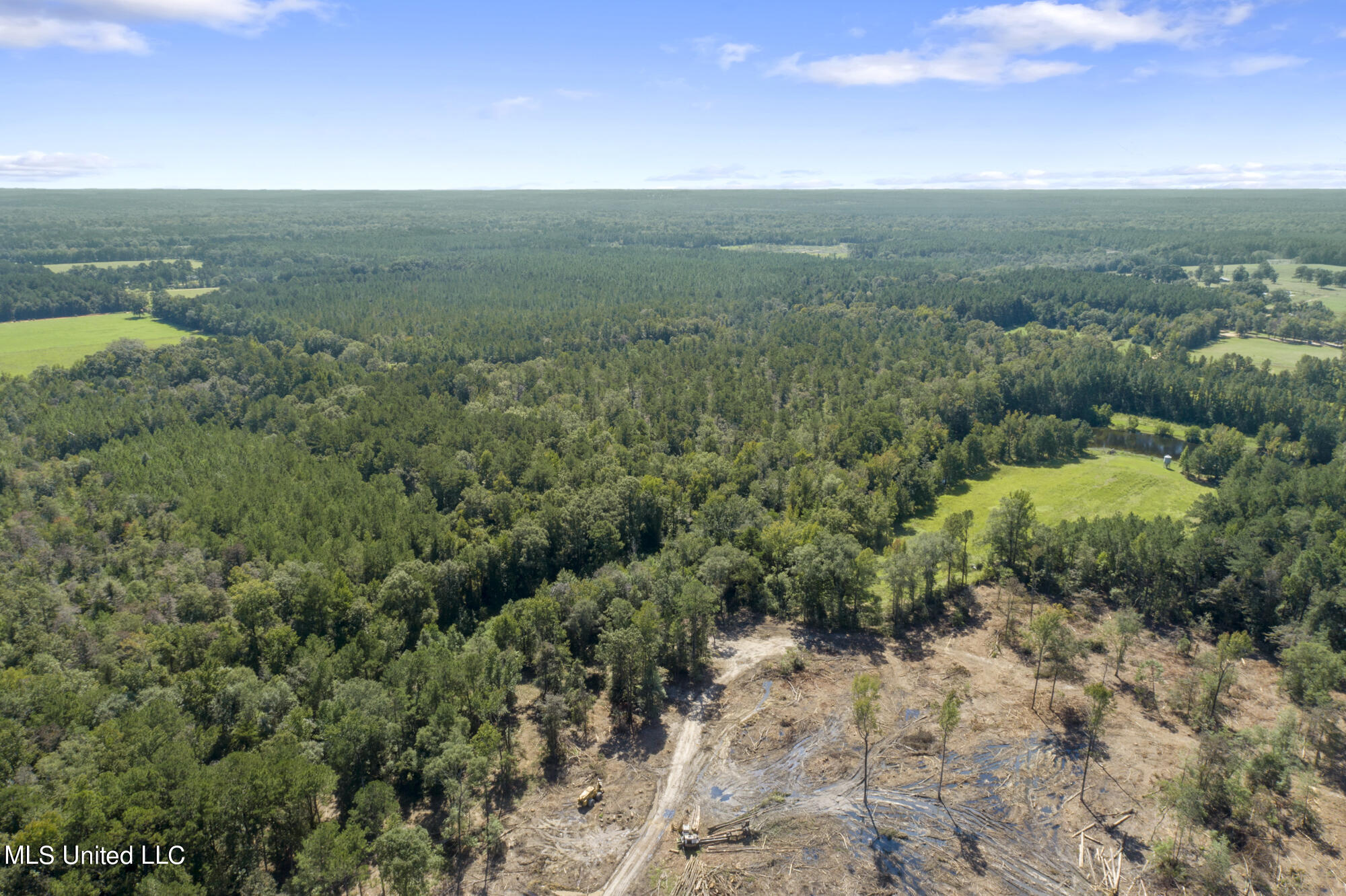 Jernigan Road, Leakesville, Mississippi image 5