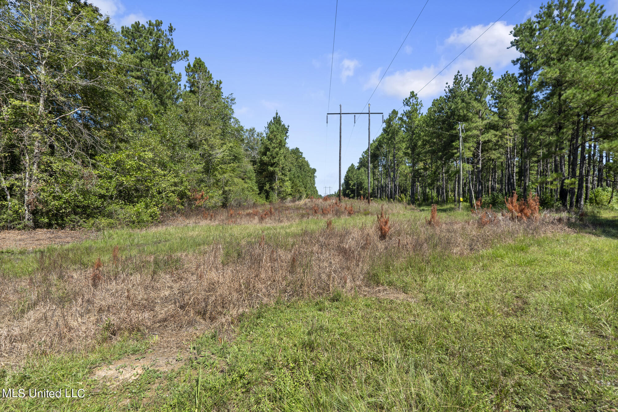 Jernigan Road, Leakesville, Mississippi image 9