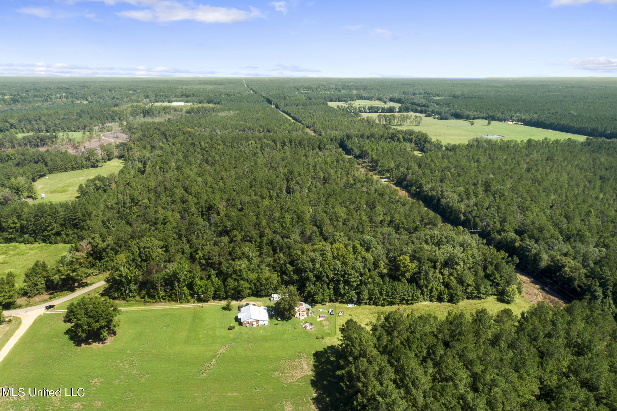 Jernigan Road, Leakesville, Mississippi image 7