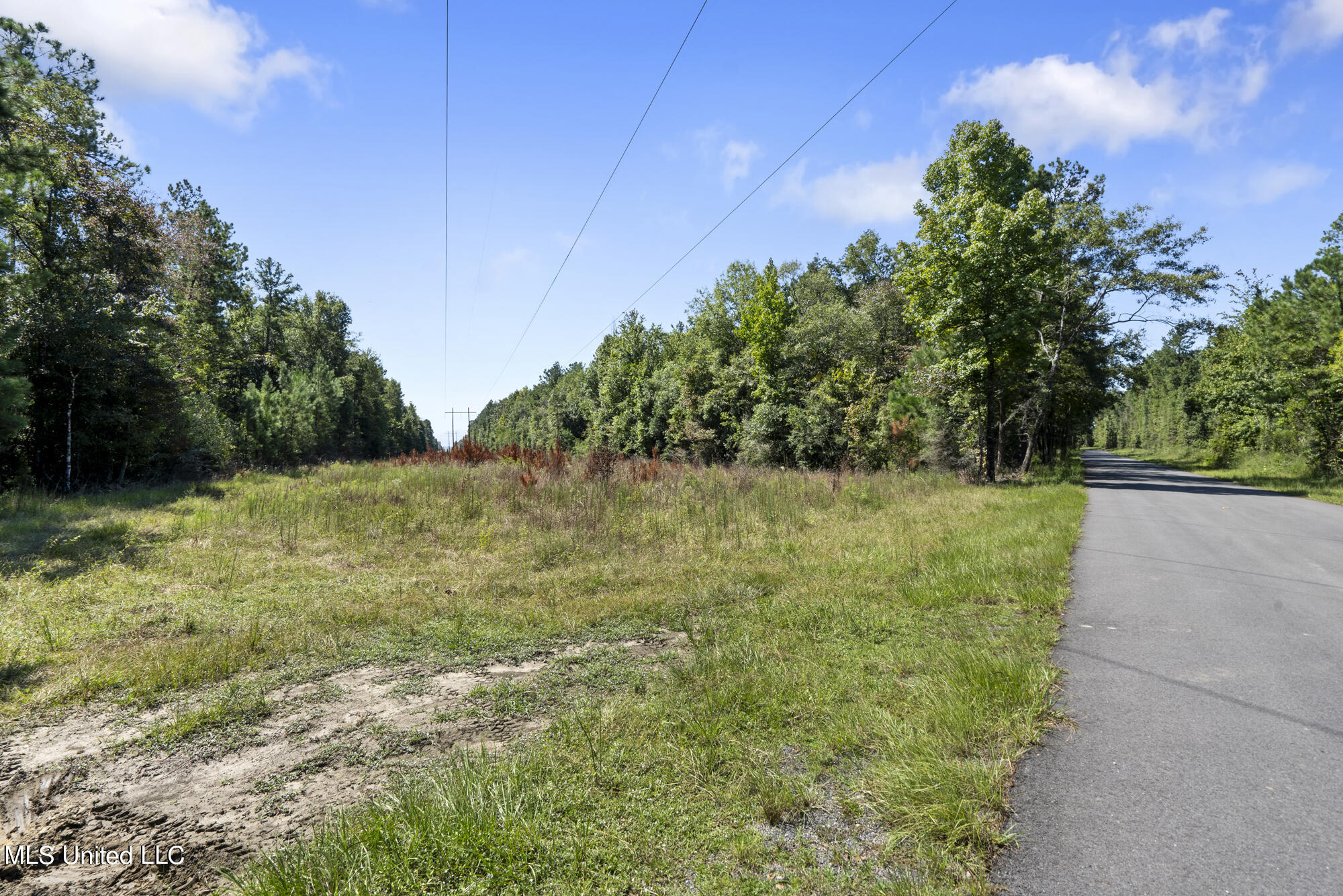 Jernigan Road, Leakesville, Mississippi image 8