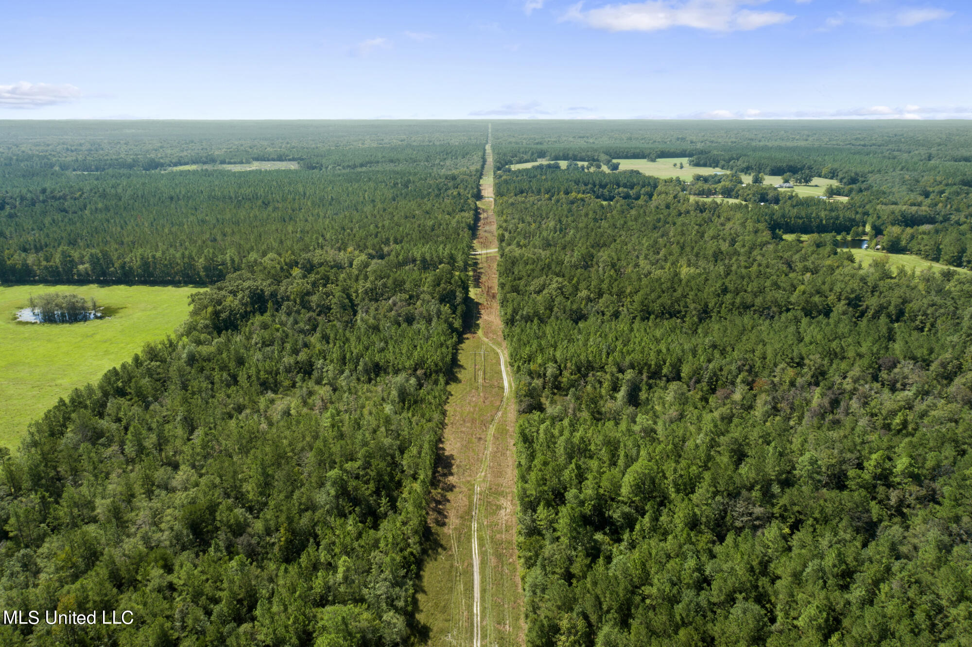 Jernigan Road, Leakesville, Mississippi image 6