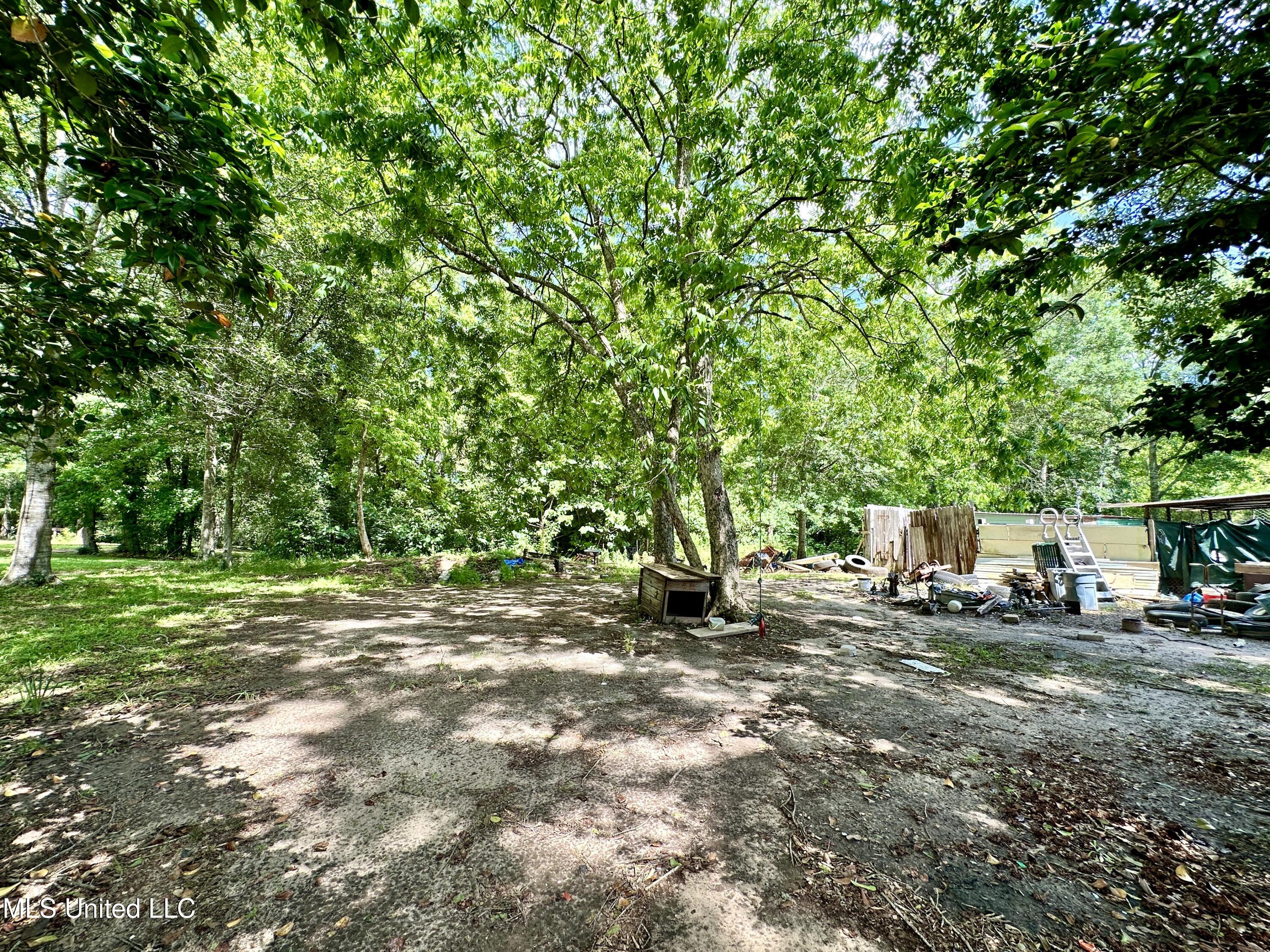 378 White Chapel Road, Carriere, Mississippi image 4