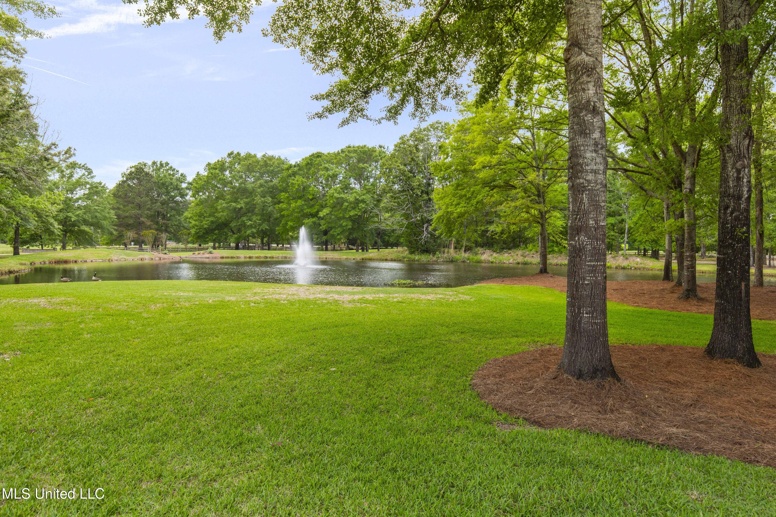 100 Stonebridge Drive, Madison, Mississippi image 5