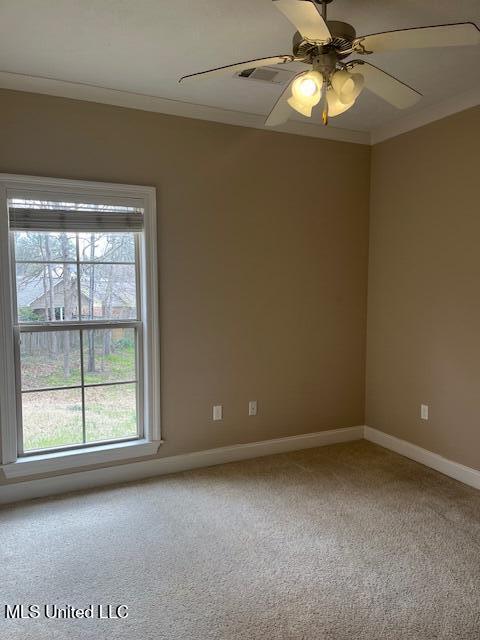 602 Terrapin Court, Brandon, Mississippi image 26