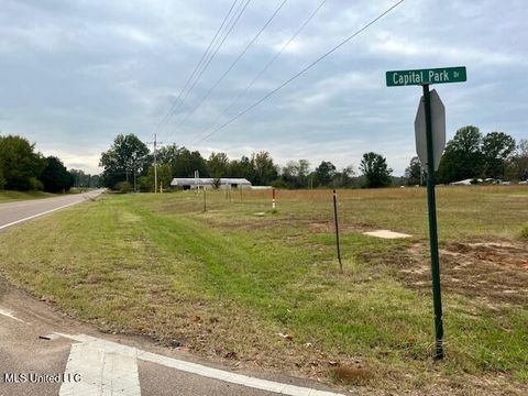 Vacant Land For Sale - 101 Capital Park Drive<br/> Tate County, Senatobia, MS 38668