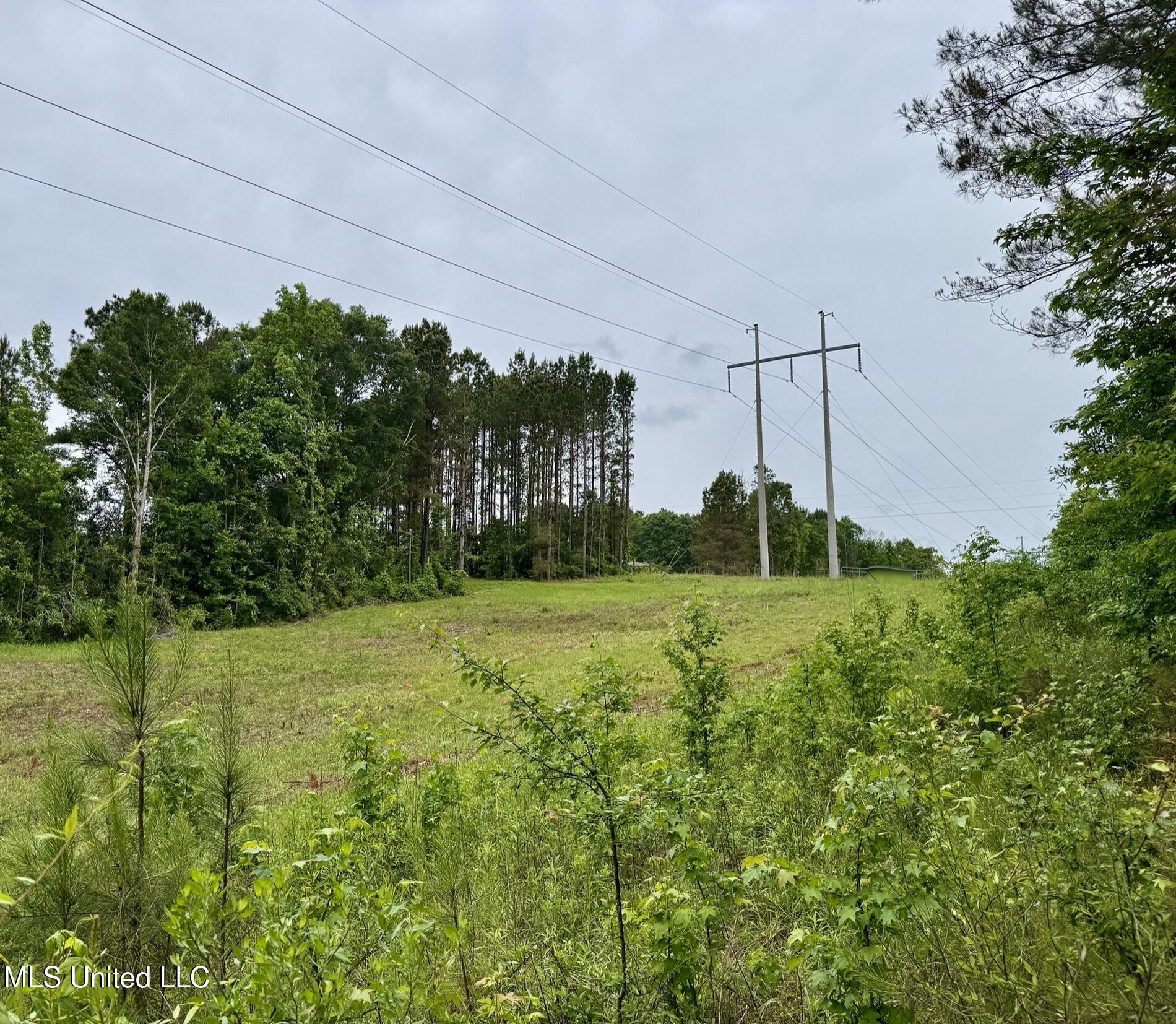 0010 Mount Carmel Road Road, Daleville, Mississippi image 23