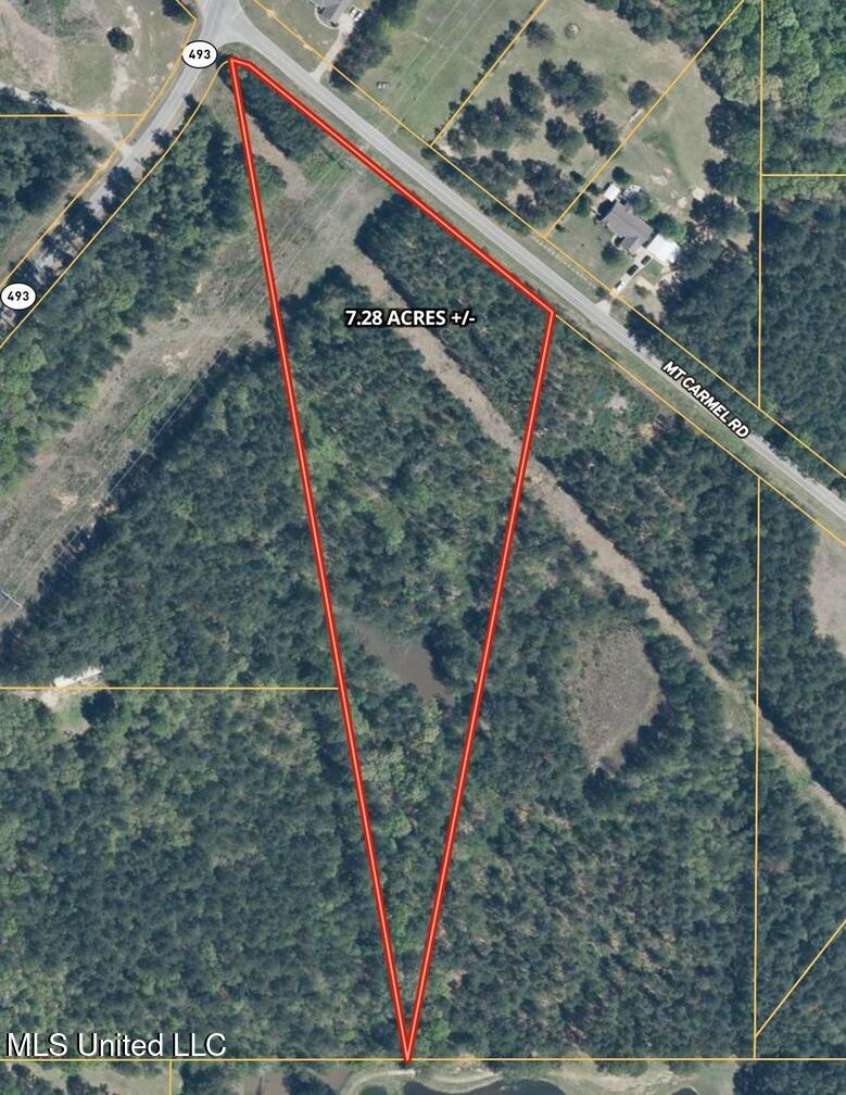 0010 Mount Carmel Road Road, Daleville, Mississippi image 3